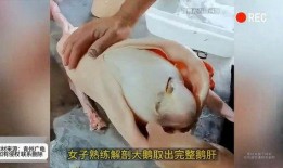 大鹅爆料事件视频完整版,揭秘视频完整版背后的惊人真相